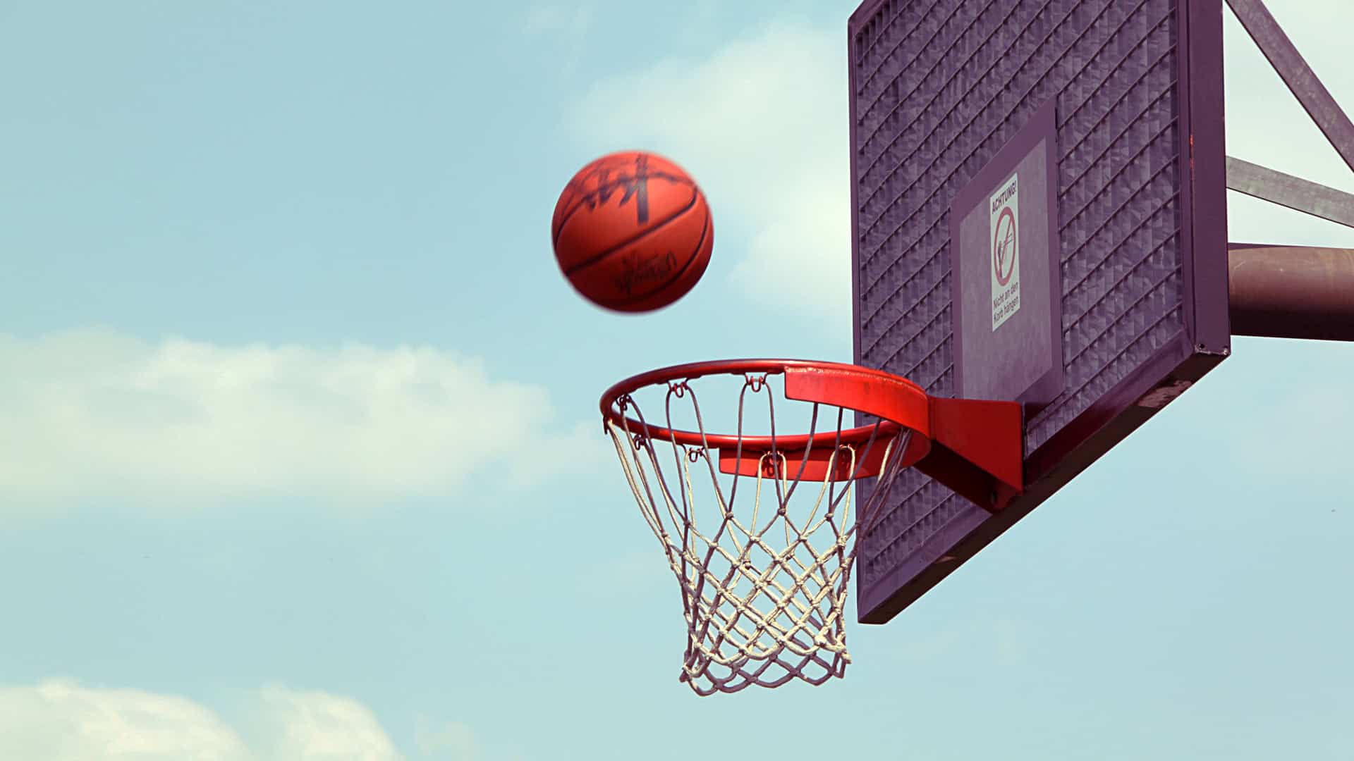 Popular sports for NZ betting fans